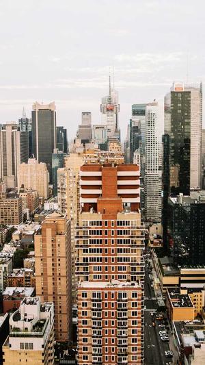 seo日志分析工具截图3