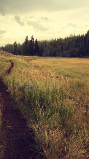 自己建蜘蛛池截图5