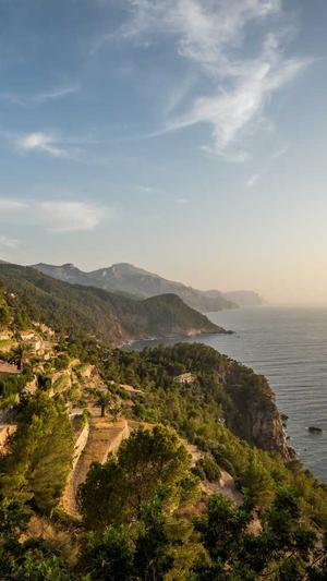 免费蜘蛛池网页版游戏截图1