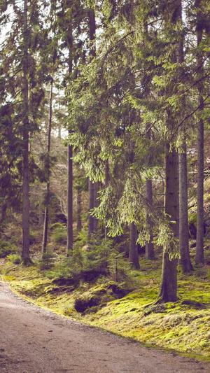 沧州网站建设优化截图3