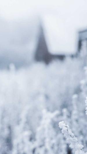 关键词seo优化截图4