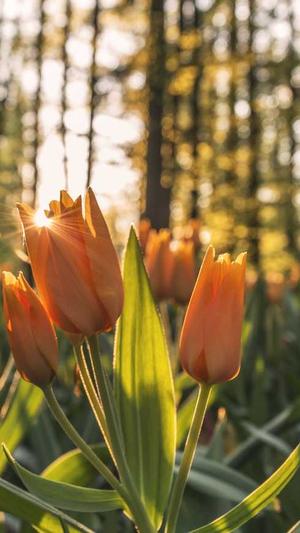 中山网站建设截图4