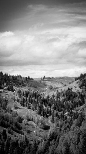 新款蜘蛛池模板截图3