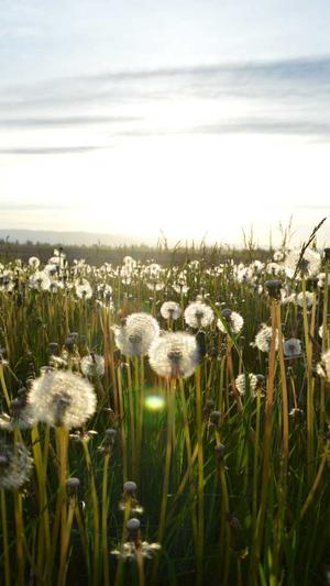 seo优化的网站截图2