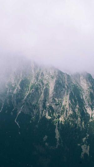 网站增加泛目录截图5