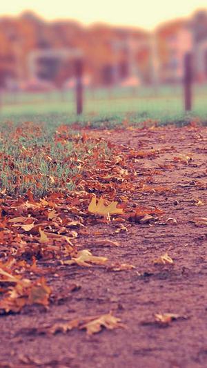 蜘蛛池外链代发截图5