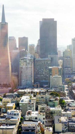 襄樊seo优化截图2