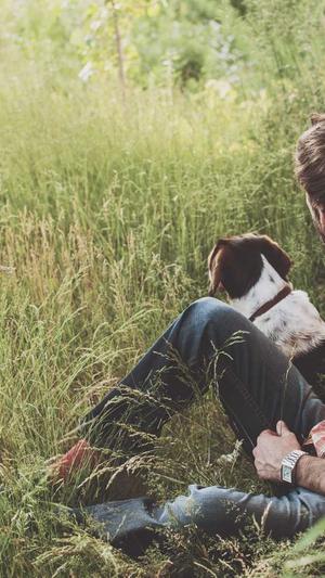 佛山市网站建设截图5