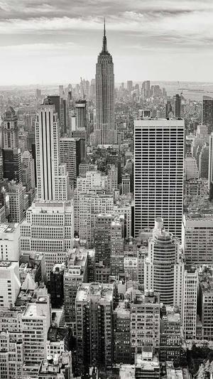 龙岗网站建设公司截图4