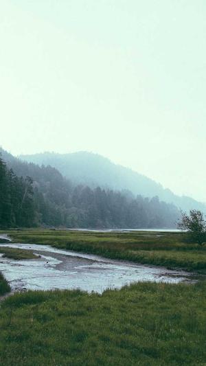 天津seo推广工具截图3