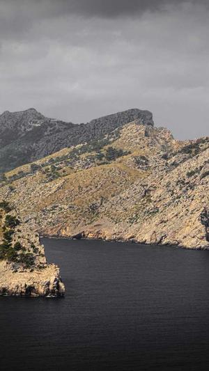 seo爬虫工具截图3