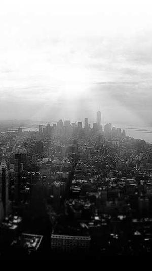 福建蜘蛛池出租服务截图3