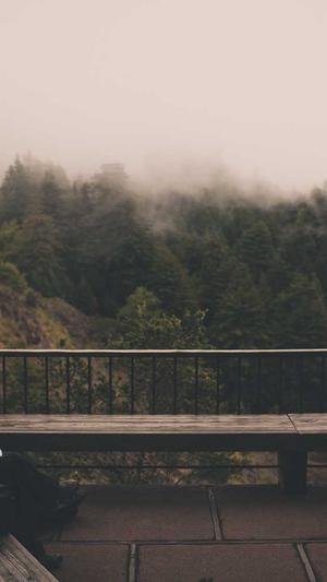 南昌seo优化截图1