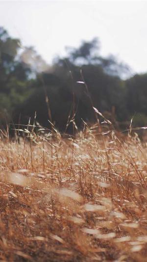 网站建设营销型截图4