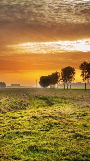 自己建设一个网站截图4