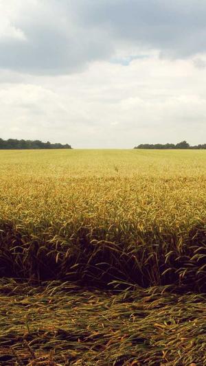 搜狗蜘蛛池提供商截图1