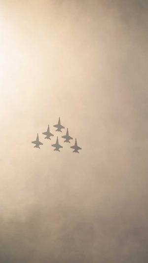 蜘蛛池域名没收录截图4