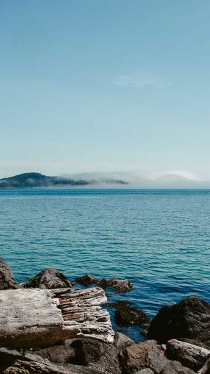 seo分析工具哪个好用截图2