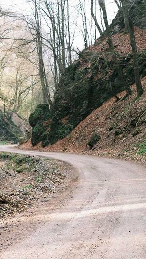 网站建设首页截图2