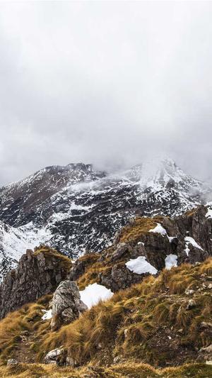 寄生虫蜘蛛池区别截图3