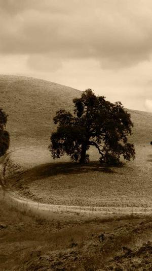 seo如何推广官网蜘蛛池截图3