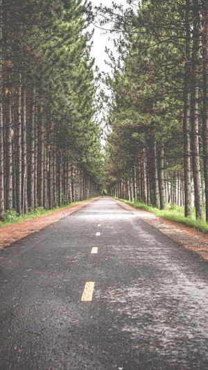 蜘蛛池能买吗截图2