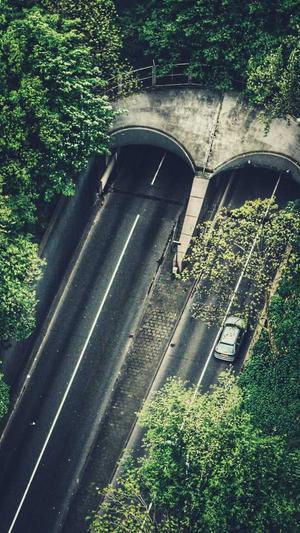 贵州搜狗蜘蛛池出租截图2