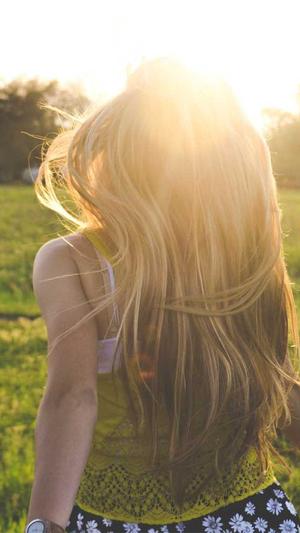 惠州seo优化截图1