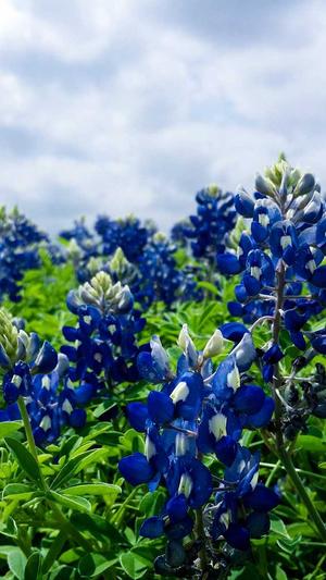 泛目录源码截图3