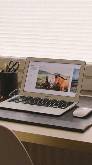 成都高端网站建设哪家好截图1