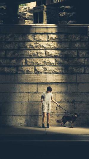 忻州网站建设截图1