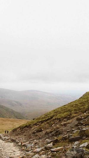 寄生虫蜘蛛池区别截图5