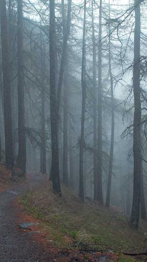 蜘蛛池搭建2018截图4