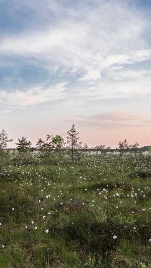 超级蜘蛛池效果怎样截图4