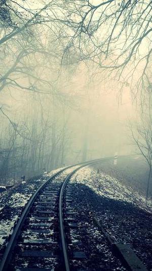 搜狗蜘蛛池提供商截图4