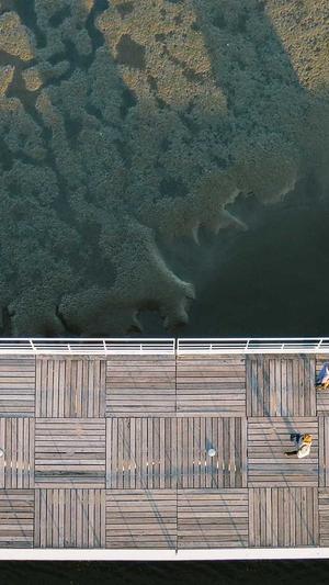 seo软件工具截图4