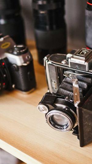 泛目录站群怎么搭建截图5