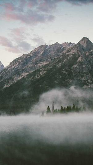 高端的网站建设截图1