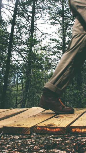 红蜘蛛池程序截图2