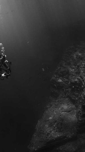 网站建设首页截图3