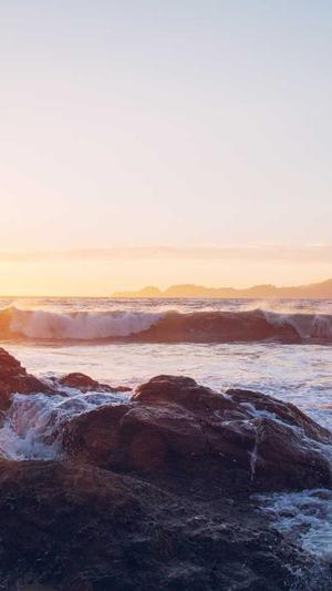 seo优化工具免费完整版截图1