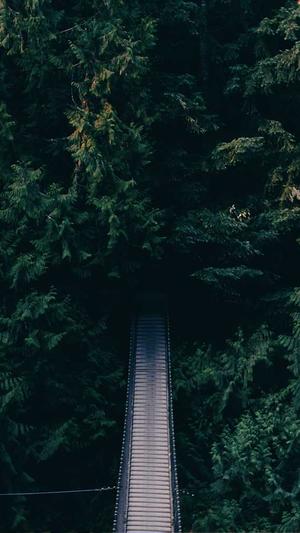 seo软件工具截图3