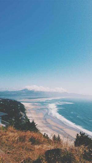 极品seo工具截图3