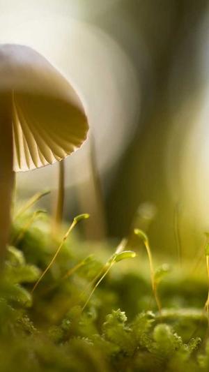 关键词seo优化工具截图1