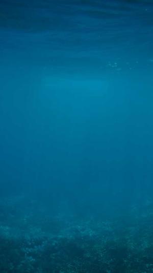 苏州企业网站建设截图5