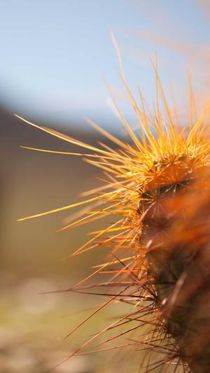 哪里网站建设好截图1