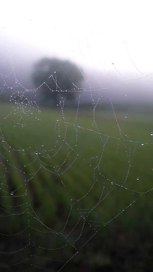 快速SEO排名截图4