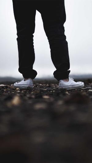 南阳网站建设截图1