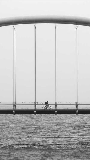 蜘蛛池源码全为zjkwlgs截图2