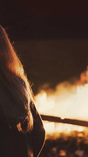 中山网站建设截图2